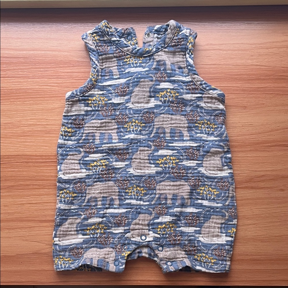 Elephant Print 6-12m Onesie - Apple Park (Organic Cotton)